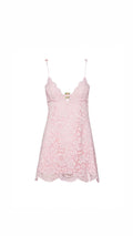 Pink lace dress on a white background